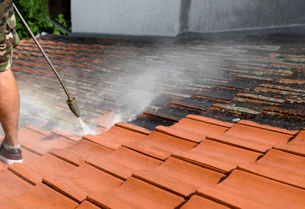 Best Pressure Washing Company Near Me  in Poplar Plains, CT